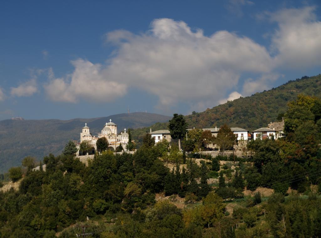 Pelion Goddess Villas Agios Georgios Nileias Ruang foto