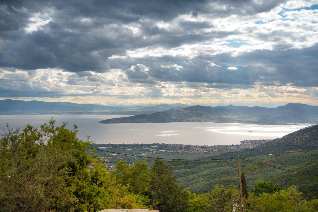 Pelion Goddess Villas Agios Georgios Nileias Bagian luar foto