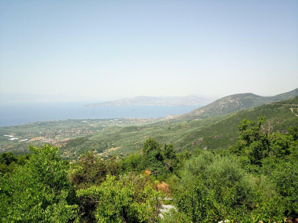 Pelion Goddess Villas Agios Georgios Nileias Bagian luar foto